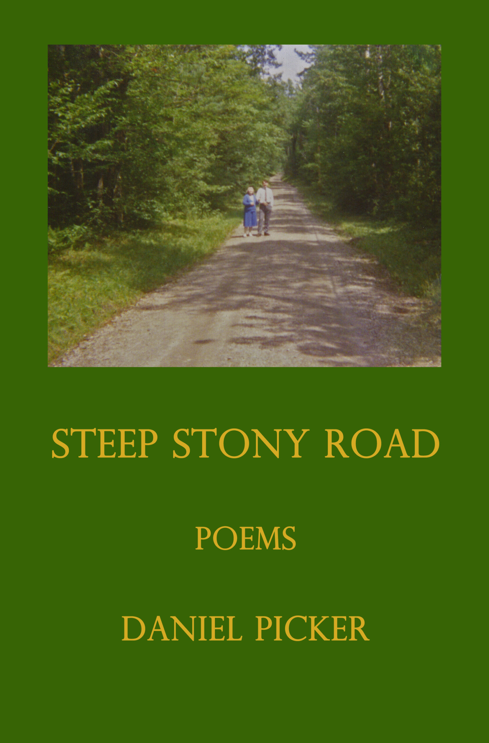 Steep Stony Road by Daniel Picker